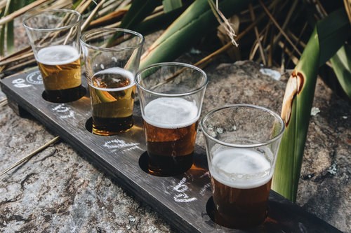 Hop On Beer Tours Queenstown: How to Plan a Brewery Tours for Beginners?